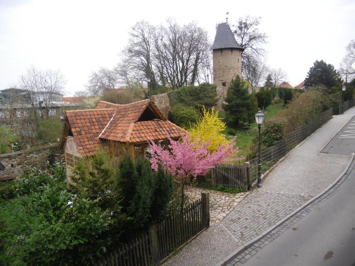 Apartment Brockenblick *